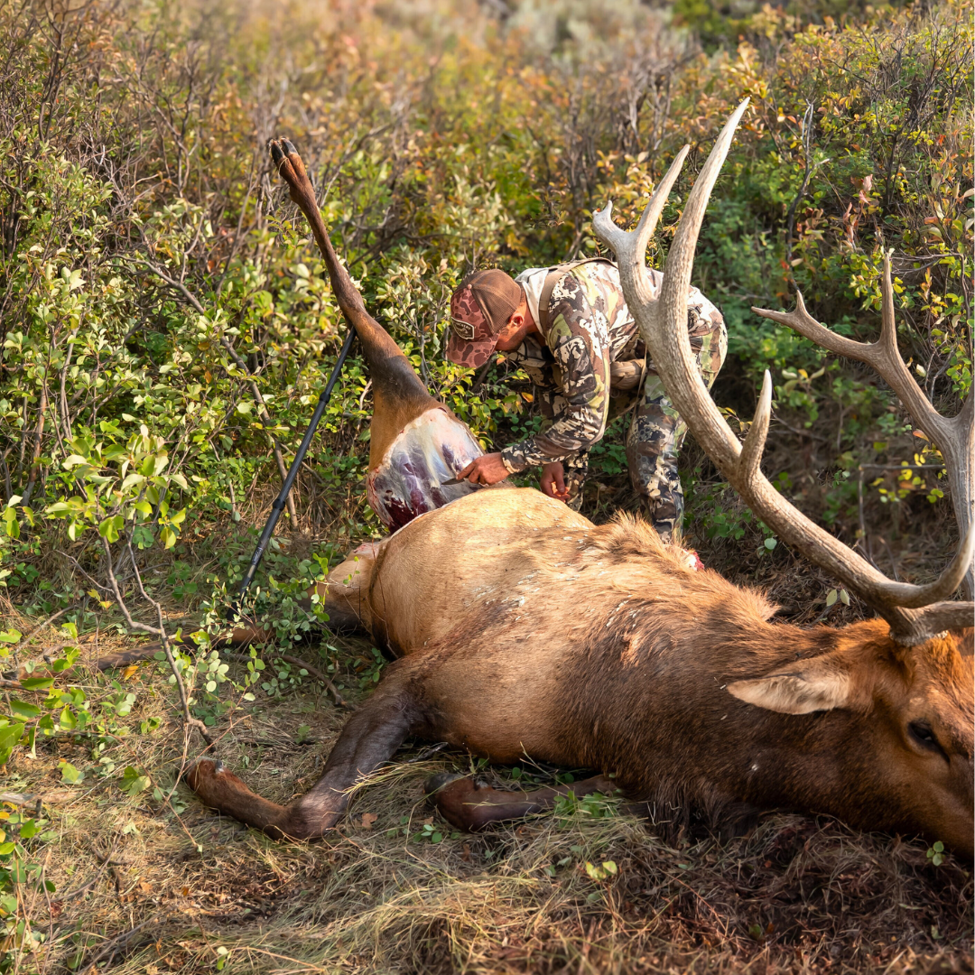 GAME-BAR CARBON+ 7-IN-1 Bundle